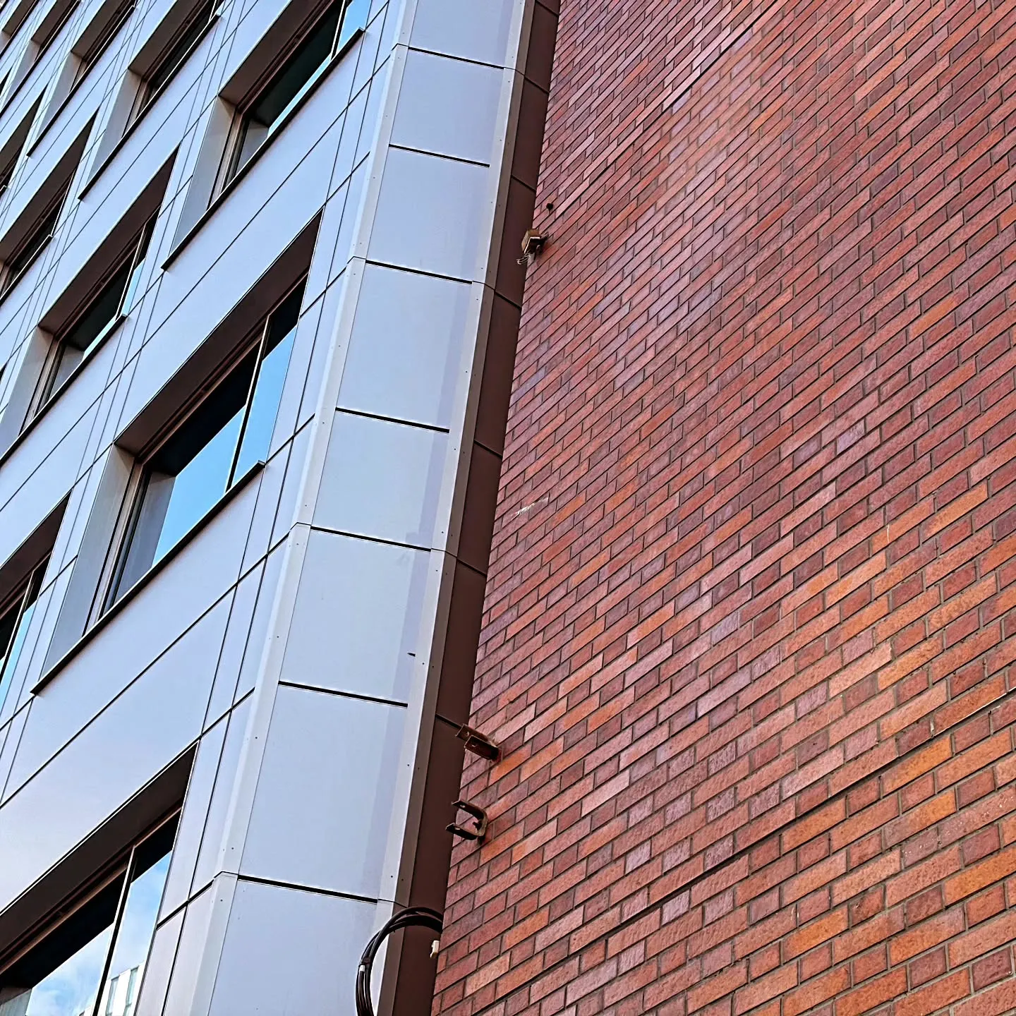 ※※※ 外壁ツタ撤去 ※※※