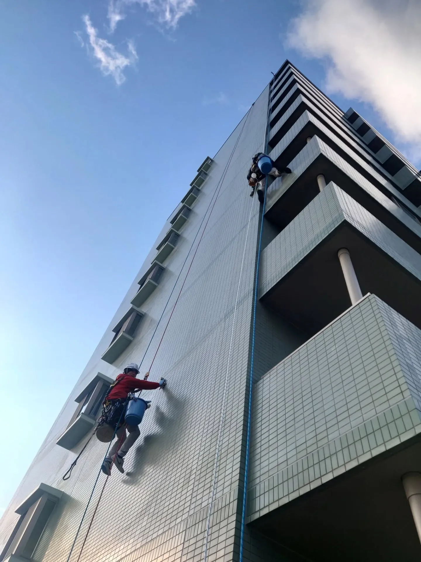 ※※※ 外壁タイル洗浄 ※※※