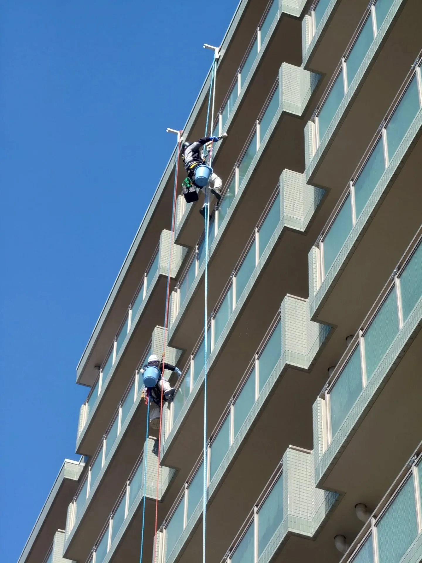 ※※※ 外壁タイル洗浄 ※※※